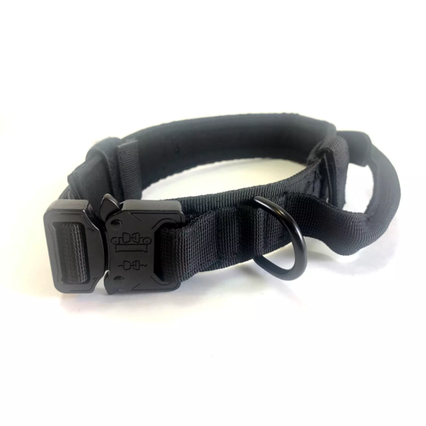 Adjustable Nylon Dog Collar RUGID With Metal Buckle Size M