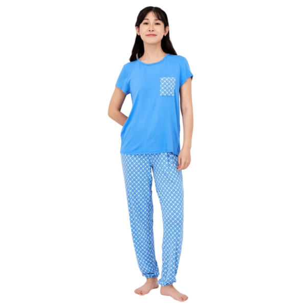 Charter Club Women Allover Printed Short Sleeves Pajama Set, Blue Combo XS