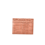 YSL Paris Card Case Brown Croc